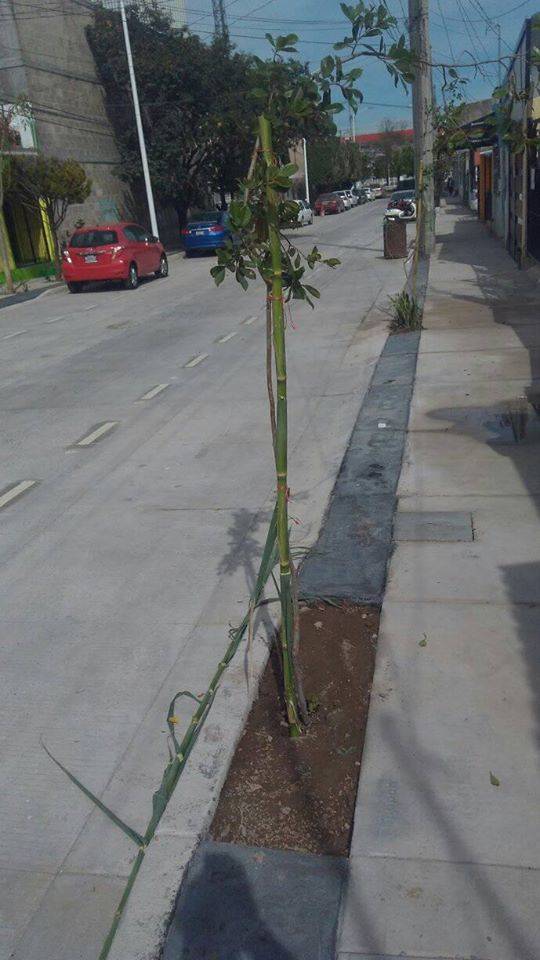 Construcción de la Calle Guadalupe Victoria con concreto hidráulico en la Colonia Santa Maria del Pueblito, Zapopan, Jalisco.